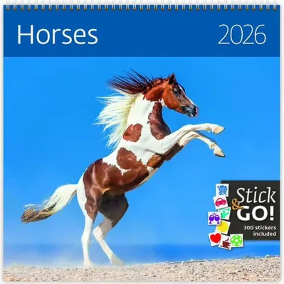 Immagine prodotto di Cavalli 2026 - calendario da parete