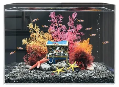 Image de Décoration d'aquarium : récif corallien artificiel pour aquariums