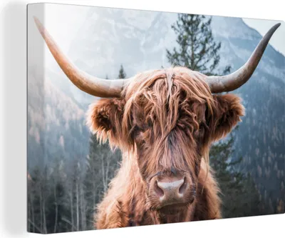 Produktbild von OneMillionCanvasses® - Leinwandbilder - 150x100 cm, Schottisches Hochlandrind - Berge - Porträt, Wandbilder Wohnzimmer Hochland Rind - Tier Wanddekoration - Hochland Rind - Kuh - Gemälde auf Holzrahmen
