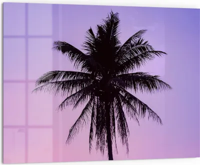 Produktbild von DEQORI Küchenrückwand Glas 80x60 cm 'Tropische Abendruhe' Spritzschutz Bad Rückwand Küche