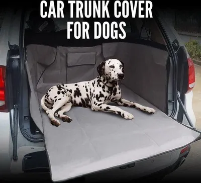 Image de Tapis de coffre pour chiens et animaux de compagnie de la marque Famanu, imperméable, avec protection des côtés et des pare-chocs
