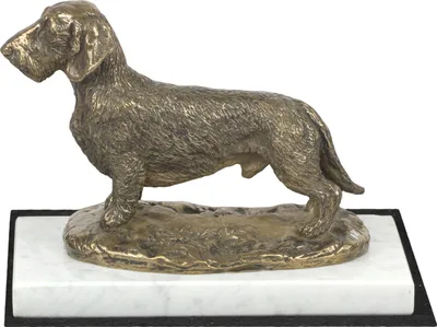 Immagine prodotto di Bassotto a pelo ruvido, bassotto, teckel - statua di cane, figura su marmo bianco, trofeo per l'esposizione canina Art Dog