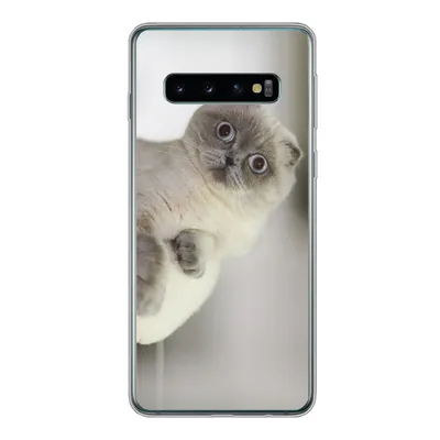 Produktbild von MuchoWow® Handyhülle Schutzhülle Hülle für Samsung Galaxy S10 Katze - Tier - Wohnzimmer Silikon Softcase Handy Hülle - Handytasche