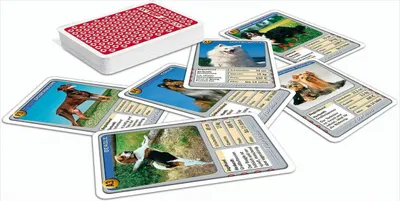 Produktbild von ASS Altenburger Spielkarten - TOP ASS Hunde