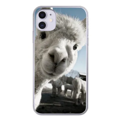 Produktbild von MuchoWow® Handyhülle Schutzhülle Hülle für iPhone 11 Alpaka - Weiß - Tier Silikon Softcase Handy Hülle - Handytasche