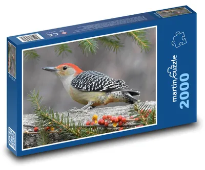 Obrázok produktu pre martinpuzzle - Puzzle 2000 - Datel - vták