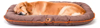 Image de Lit pour chien Ferplast Oscar 100 Brown 100 x 70 x 12 cm 81096012