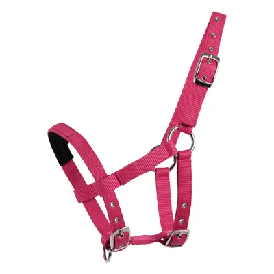 Immagine prodotto di Cavezza Waldhausen Mini-Shetty