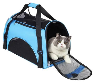 Produktbild von Hundetransporttasche Netzgewebe atmungsaktiv faltbar waschbar 42 x 20 x 25.5 cm Blau