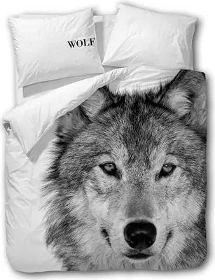 Produktbild von Traumschlaf Wendebettwäsche Wolf 135x200 cm + 80x80 cm
