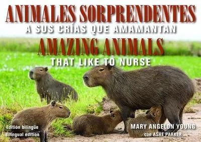 Obrázek produktu pro Animales Sorprendentes / Úžasná zvířata