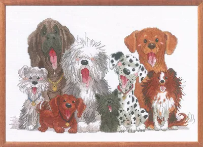 Telkruissteekpakket Hunde von Duckport 38x25 cm