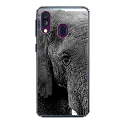 Produktbild von MuchoWow® Handyhülle Schutzhülle Hülle für Samsung Galaxy A40 Elefant - Tiere - Schwarz - Weiß - Natur Silikon Softcase Handy Hülle - Handy-Tasche