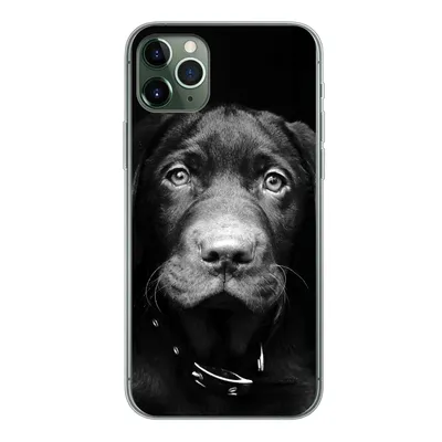 Produktbild von MuchoWow® Handyhülle Schutzhülle Hülle für iPhone 11 Pro Max Hund - Leicht - Schwarz Silikon Softcase Handy Hülle - Schutz
