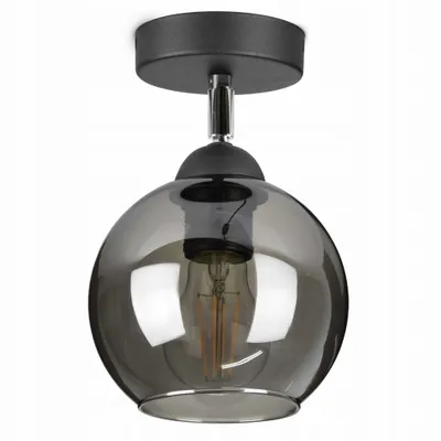 A close-up studio shot of a black ceiling lamp with a smoked glass shade.