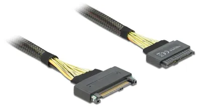 Image de DeLOCK Câble SAS interne