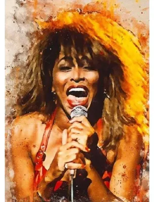 Obrázok produktu pre NORIMPEX Diamantový malý krb Tina Turner, ZPV, 30x40 cm