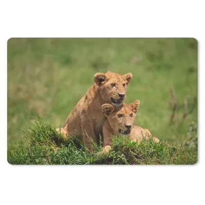 Produktbild von MuchoWow® Schreibtischunterlage Löwen - Jagd - Natur 60x40 cm - XXL Mauspad - Großes Mauspad