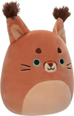 Produktbild von Squishmallows Ferraz-teddy 19 Cm Braun  Kinder Braun One Size