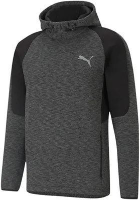Produktbild von Puma Sweatshirts Evostripe Hoodie, 58580901, Größe: 170