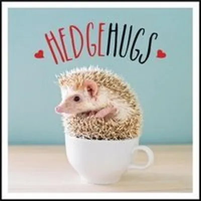 Immagine prodotto di Hedgehugs