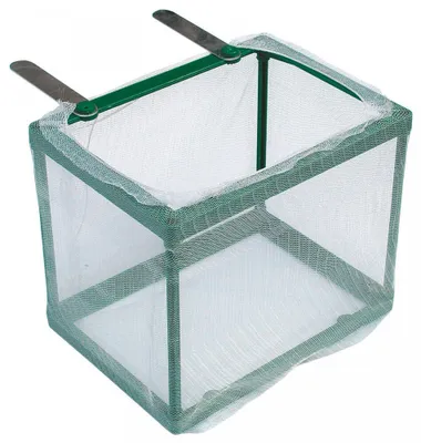 Produktbild von Amtra Aufzuchtbecken Größe L Maße 16,5x12,5x13,5