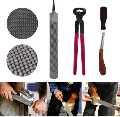 Produktbild von 4 Stück Pferdehufzange, Hufschneider, Feilen, Hufpflegetool für Pferdepflege