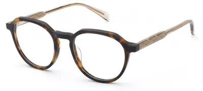 Produktbild von Zadig&voltaire VZV499 Avana scura lucida 51/19/140 Damen Brillen