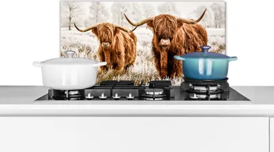 Produktbild von KitchenYeah®  Spritzschutz Küche - Küchenrückwand - Wandschutz für Herd und Spüle - Schottisches Hochlandrind - Tiere - Kuh 60x30 - Alu-Dibond (Alternative zum Spritzschutz aus Glas) - Hitzebeständig