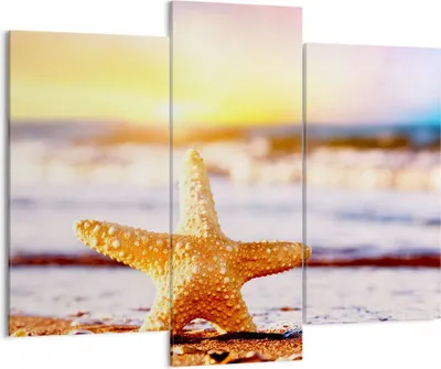 Produktbild von Bild auf Leinwand - Leinwandbild - Starfish Strand Sand Ozean - 130x100cm - Wand Bild - Wanddeko - Leinwanddruck - Bilder - Kunstdruck - Wanddekoration - Leinwand bilder - Wandkunst - CB130x100-2815