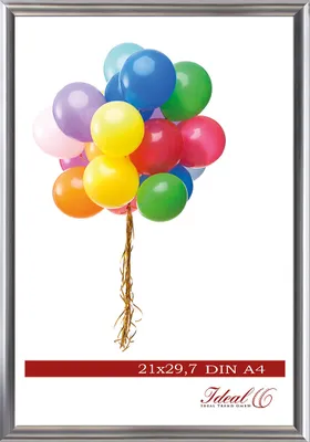 Produktbild von Home Lifestyle Kunststoff Bilderrahmen 10x15 cm bis 50x70 cm Foto Rahmen - Farbe: Silber | Format: 40x50