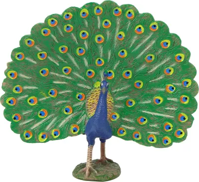 Immagine prodotto di Pavone modello altamente simulato casa ufficio decorazione ornamento bambini toycock