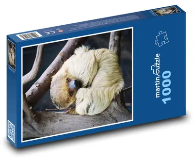 Zdjęcie produktu dla martinpuzzle - Puzzle 1000 - "Lenochod" w zoo