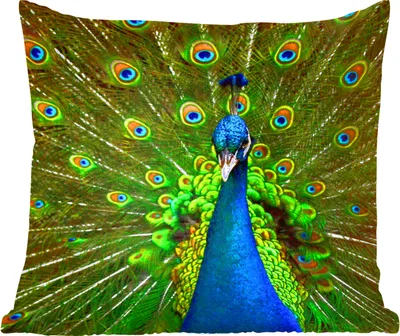 Produktbild von MuchoWow® Zierkissen Sofakissen Wohnzimmer Dekokissen 40x40 cm Pfau - Federn - Muster - Blau - Foto Kissen - Schlafzimmer Dekoration