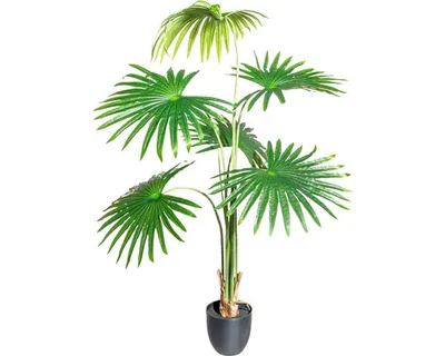 Produktbild von Kunstpalme Washingtonia H 120 cm grün