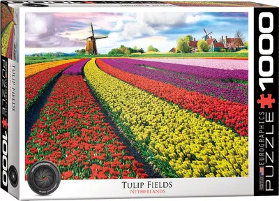 Produktbild von 1000 Teile Puzzle - Puzzle - Tulpenfeld in Holland + Puzzle Alu Rahmen für 1000er