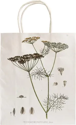 Image de Sac décoratif A5 STBAG107 Aneth