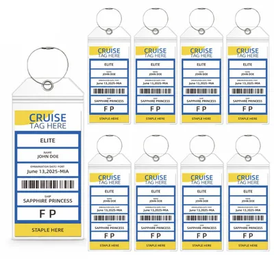 Produktbild von INF 10er Pack Kreuzfahrt Gepäckanhänger - Wasserdichte PVC Kofferanhänger L