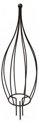 Produktbild von Rankzwiebel 95 x 28 cm