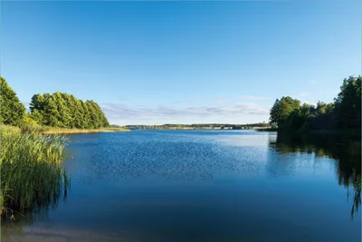 Produktbild von Wallario Premium Vliestapete Fototapete Malerischer See mit Schilf unter blauem Himmel in der Größe 400 x 267 cm, extra dick, wird in 5 Teilen geliefert