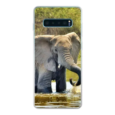 Produktbild von MuchoWow® Handyhülle Schutzhülle Hülle für Samsung Galaxy S10 Plus Elefant - Wasser - Tiere - Natur Silikon Softcase Handy Hülle - Schutzhülle