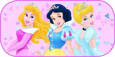 Produktbild von Heckscheiben Sonnenschutz PRINCESS 80*40cm (1-Stück)