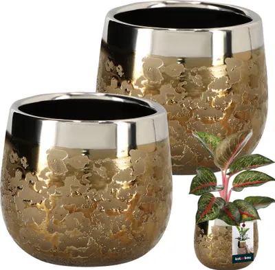 Two gold and silver ceramic planters are shown, with a small plant in one of them. The planters have a textured, reflective surface.