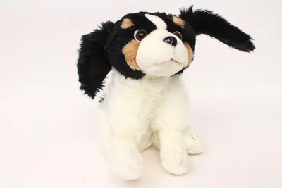 Image de Chien en peluche assis SmilyPl.SP84395 43953