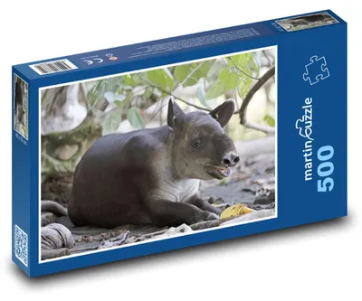 Obrázek produktu pro Puzzle 500 Tapír v tropickém lese - martinpuzzle