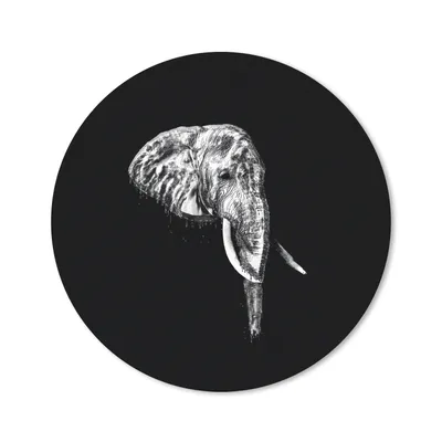 Produktbild von MuchoWow® Mauspad Mousepad Elefant - Zähne - Schwarz - Weiß 20x20 cm - Mousepads - Maus Mat - Pad - Mausunterlage - Schreibtischmatte