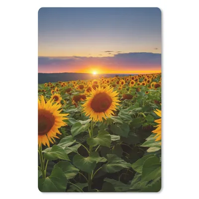 Produktbild von MuchoWow® Mauspad Mousepad Blumen - Nacht - Sonnenuntergang - Sonnenblume - Horizont 18x27 cm - Mousepads - Maus Mat - Pad - Mausunterlage