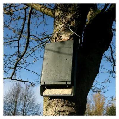 Produktbild von Fledermaus-Spaltenkasten aus Holzbeton für Kleinfledermäuse | Fledermausquartier | Fledermauswochenstube | Großraumhöhle | Sommerquartier| Fledermauskasten| Fledermaus-Haus|Selbstreinigend