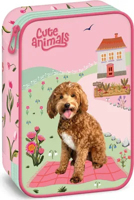Produktbild von Doggie-Kollektion Federmäppchen Fußballmotiv zweistöckig mit Reißverschlussfach und Stiftehaltern 23x16x5cm