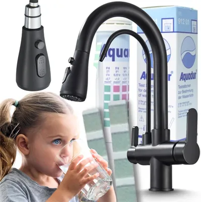 Produktbild von 3-Wege Küchenarmatur NORDIC mit Wasserfilter-Anschluss, herausziehbare Brause, 360° schwenkbar, getrennte Wasserwege, Keramikkartusche Schwarz-matt
